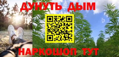 стафф Дубна