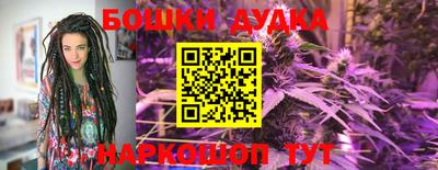 стафф Дубна