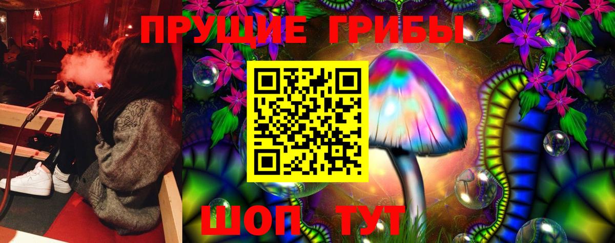 Галлюциногенные грибы GOLDEN TEACHER Майкоп