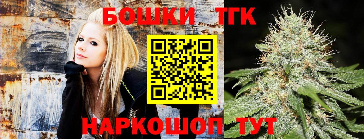Каннабис конопля Майкоп